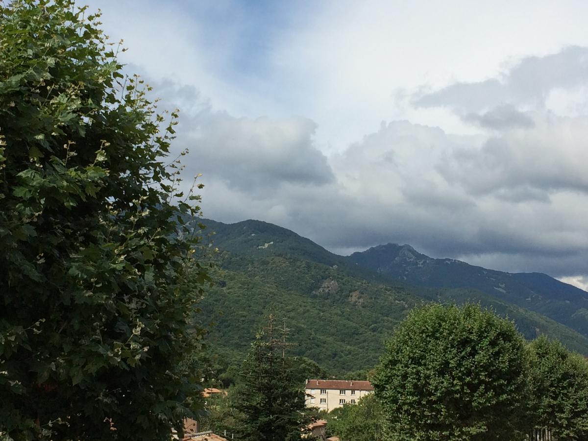Hotel Et Appartements Les Platanes Thueyts Екстер'єр фото