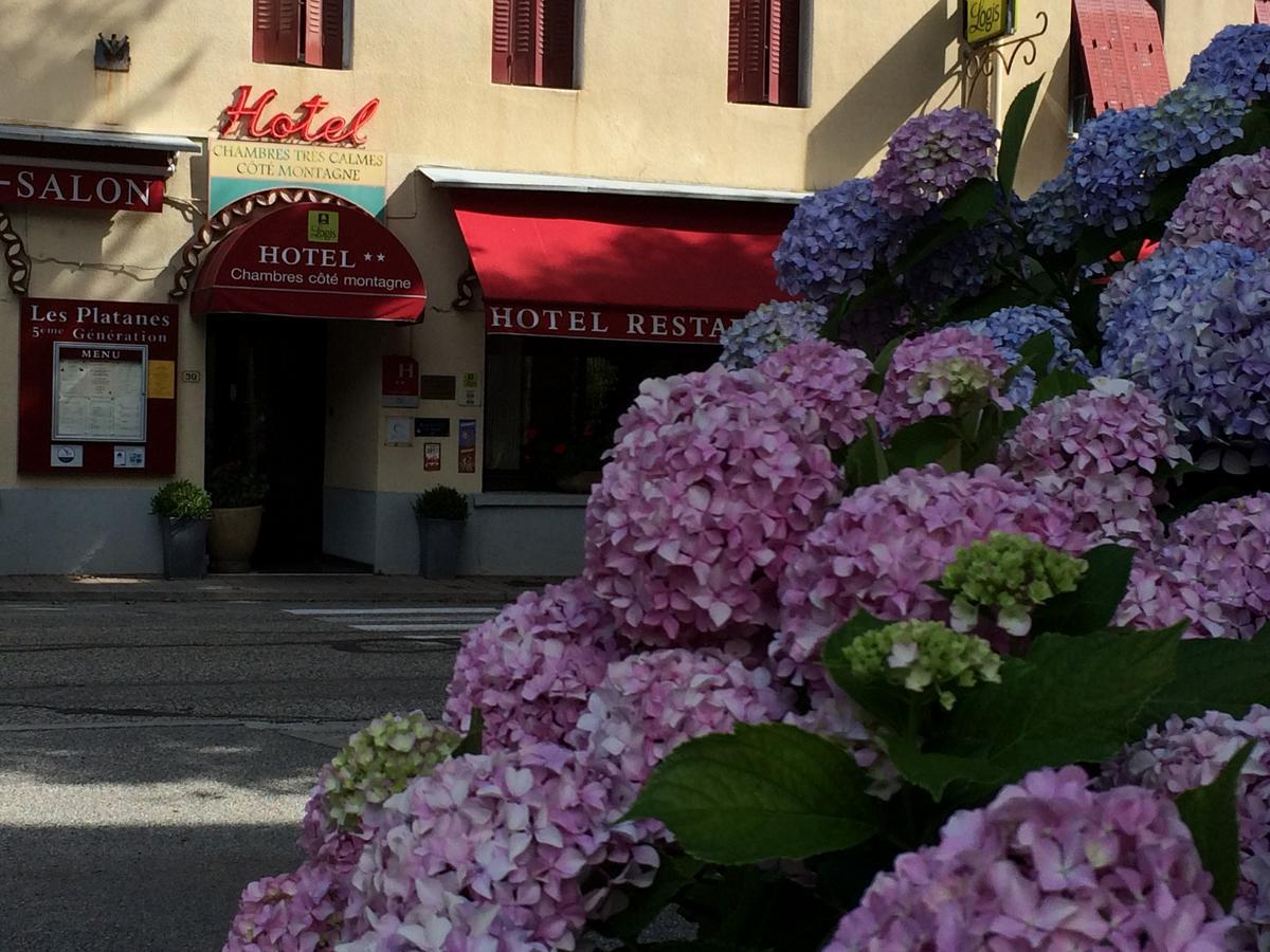 Hotel Et Appartements Les Platanes Thueyts Екстер'єр фото